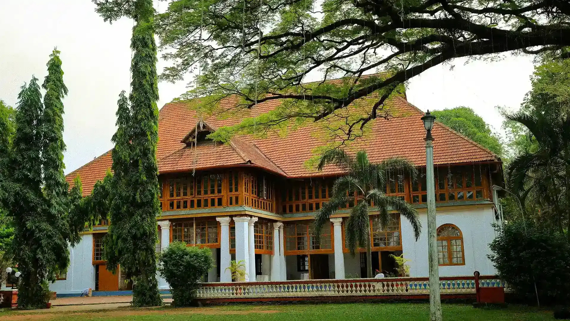 Aluva